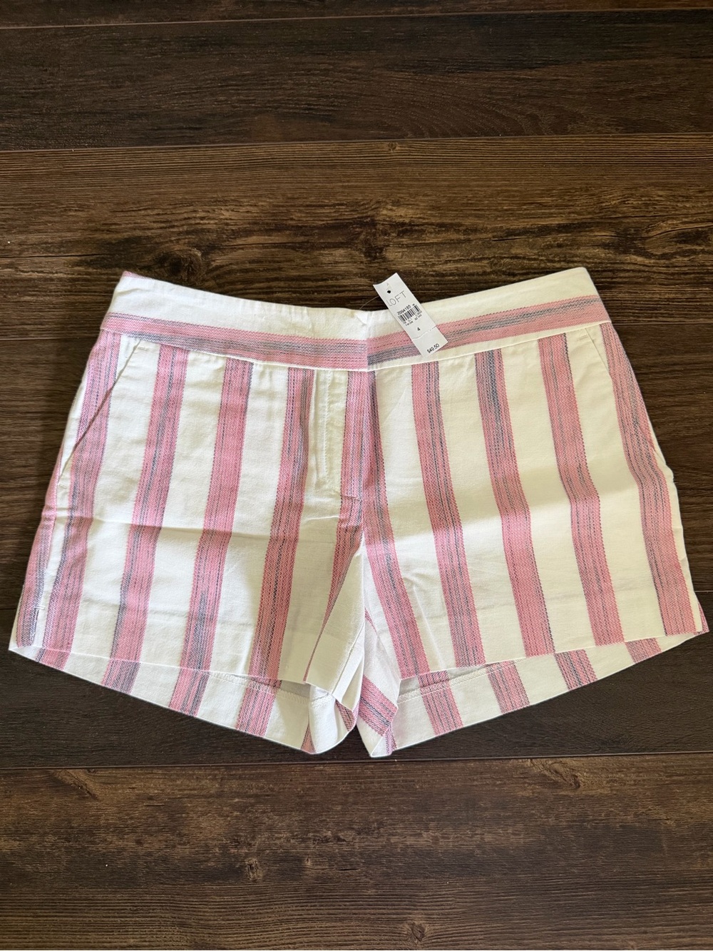 LOFT Striped Shorts